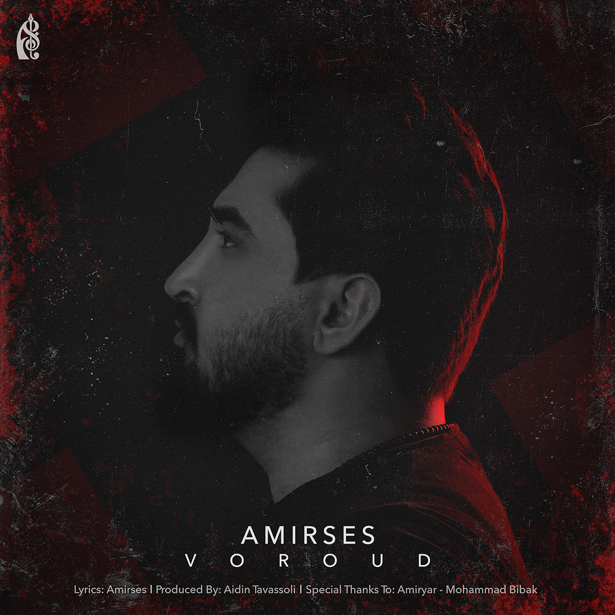 Amir Ses – Vorood