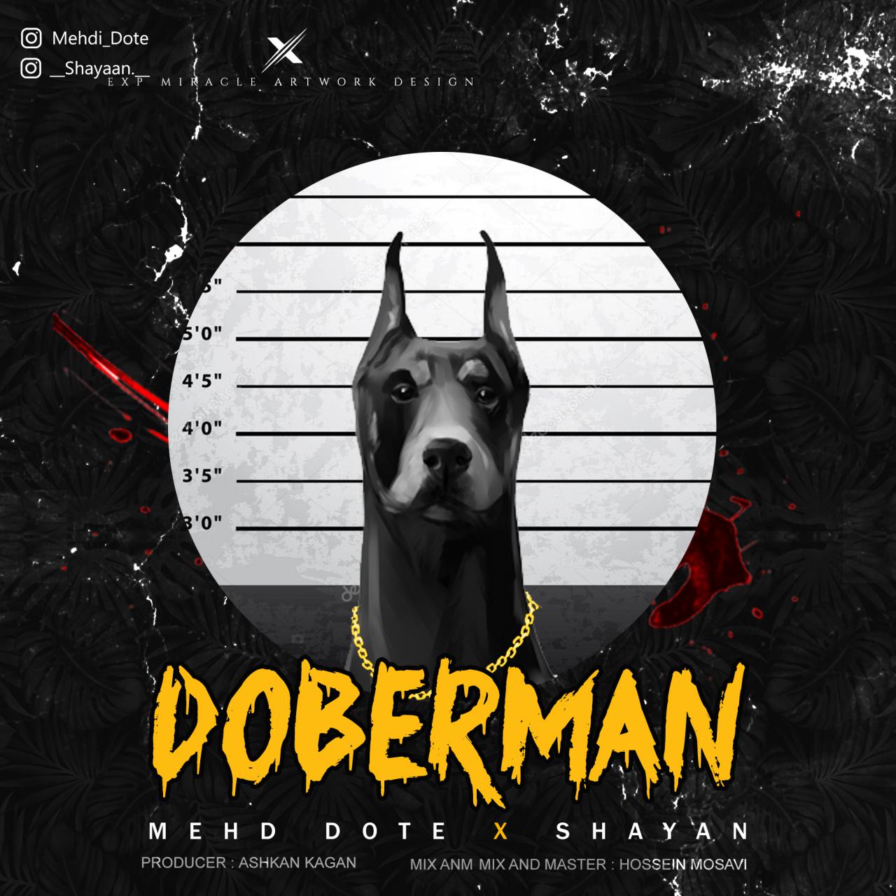 Mehdi Dote & Shayan – Doberman