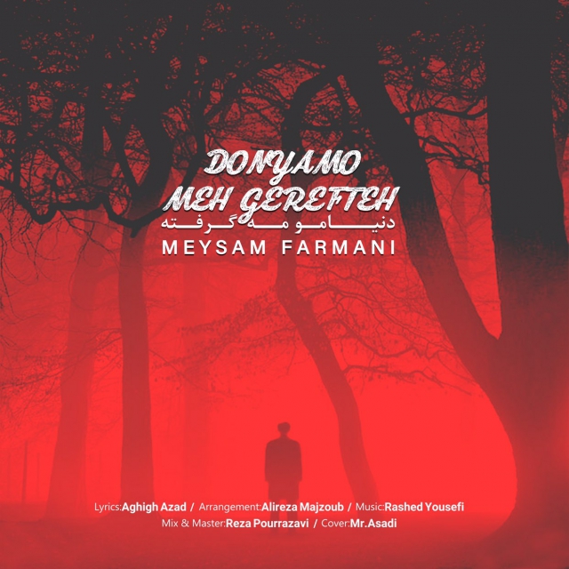 Meysam Farmani – Donyamo Meh Gerefteh