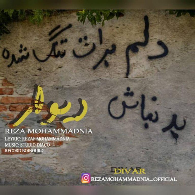 Reza Mohammadnia – Divar