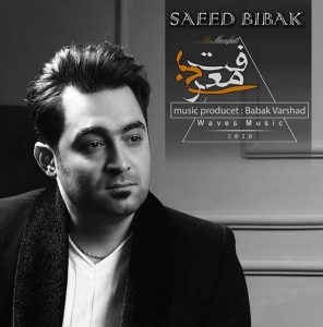 Saeed Bibak