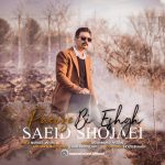 Saeid Shojaei – Paeize Bi Eshgh - 